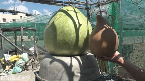 葫蘆破掉