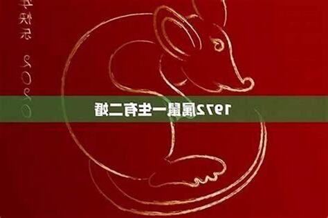 1984年是什么鼠