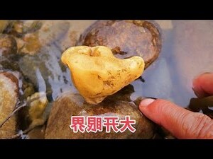 石獅子可以摸嗎