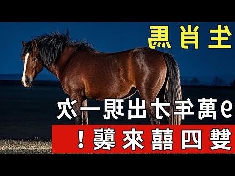 肖馬