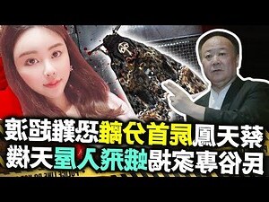 白飛蛾入屋
