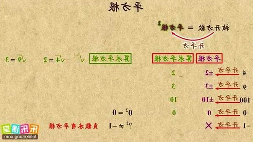 根的意思