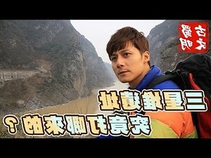 廖科溢血統
