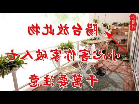 仙人掌陽台佈置
