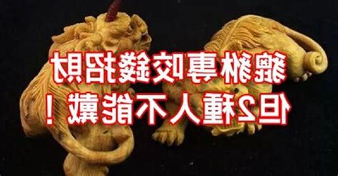 皮休咬錢