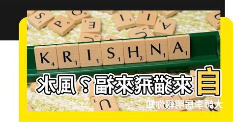自來貓風水