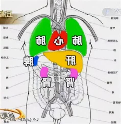 宮商角徵羽心肝脾肺腎