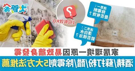 牆身發霉原因