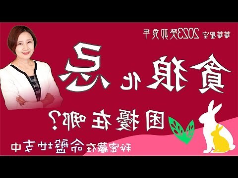 2023流年四化