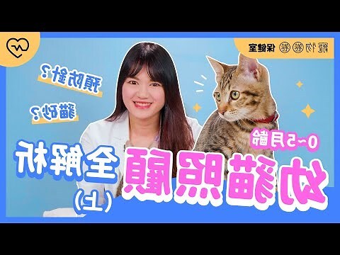 幼貓死掉怎麼處理