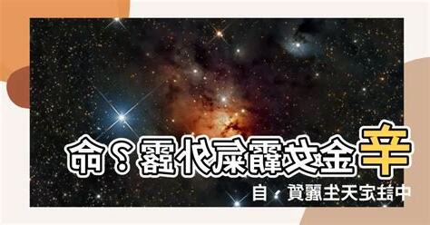 辛金女長相