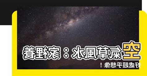 空氣草風水