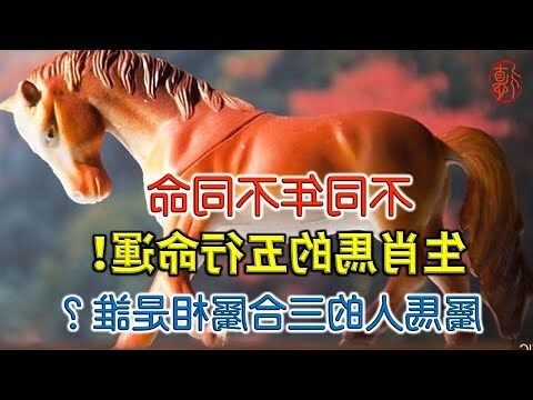 馬的五行