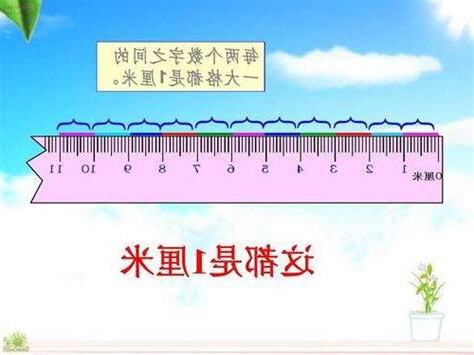 五米是幾公分