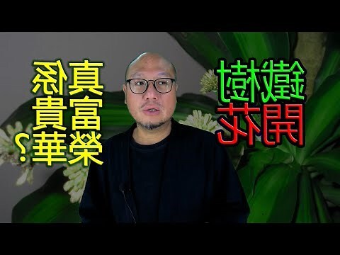 墨西哥鐵樹開花