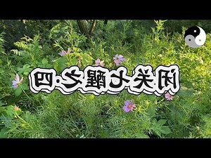 卉的五行