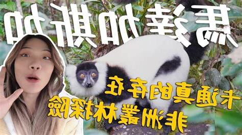 小象愛出門