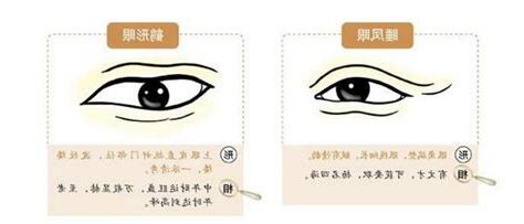 睡鳳眼