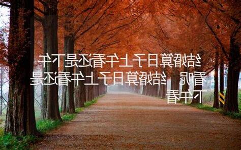 算日子