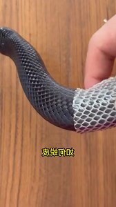 蛇脱皮