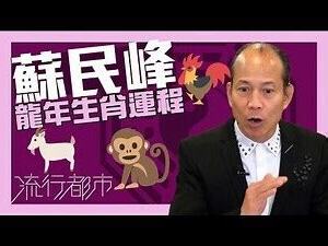 蘇民峯風水2024