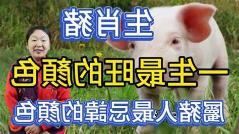 屬鼠顏色