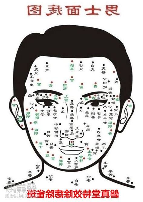 男人面相分析
