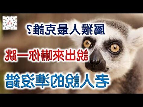 猴男牛女