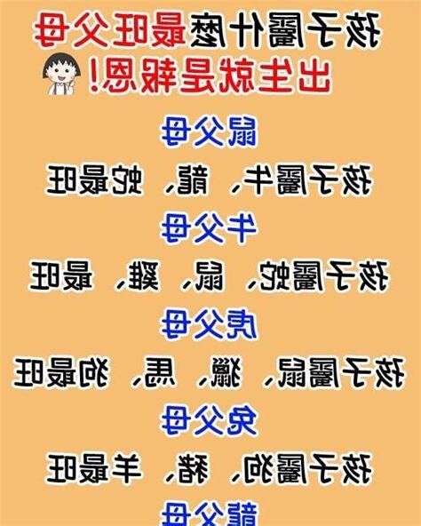 12歲屬什麼
