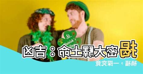 大驛土