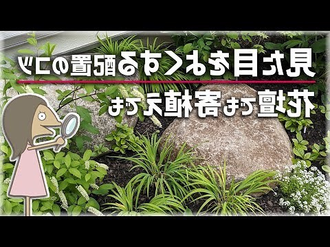 庭含義