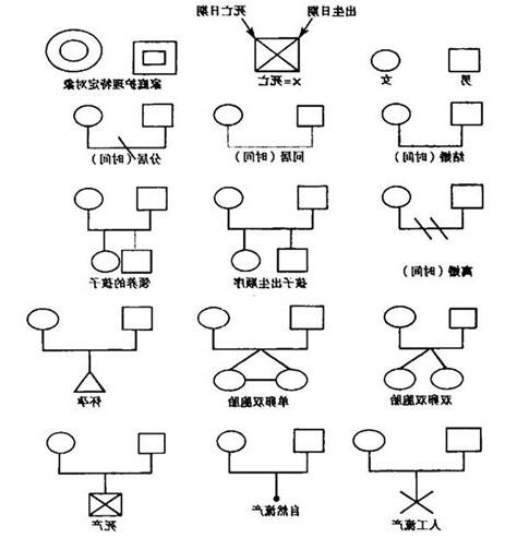家族樹離婚