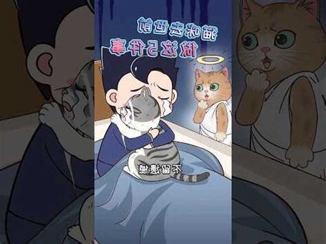 幼貓死掉怎麼處理