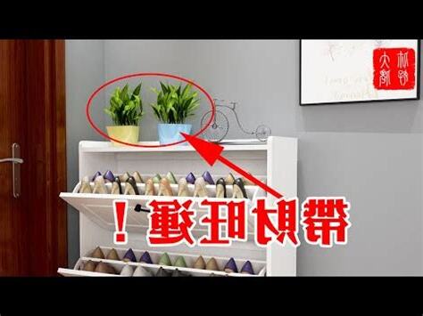 鞋櫃上放黃金葛