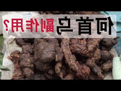 制首烏副作用