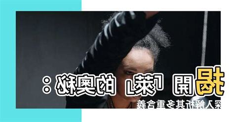 萊意思