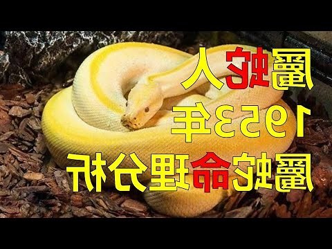 1953是什麼