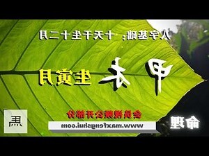 木命