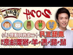 5月屬什麼