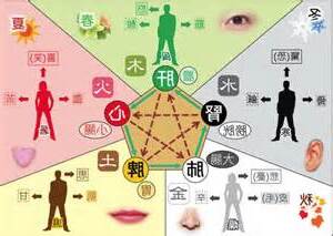 五行身体部位