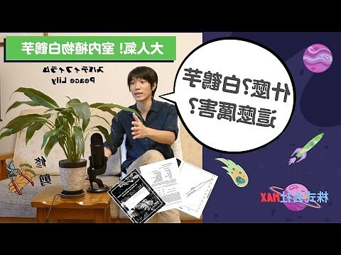 白鶴芋分株
