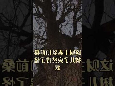 門前種桑樹
