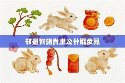 兔子生肖配对