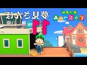 夢見鸚鵡號碼