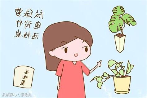 家裡有孕婦可以搬東西嗎