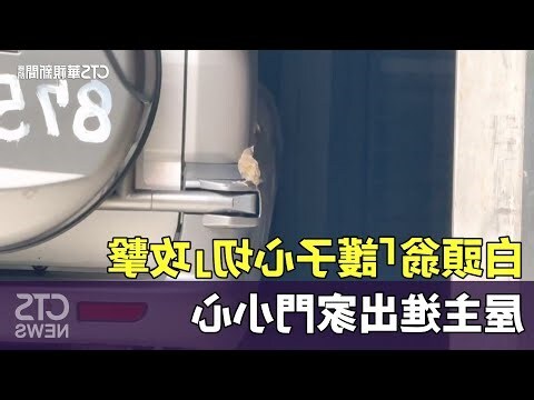 家裡有鳥來築巢