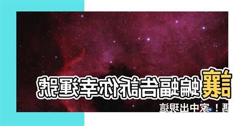 蝙蝠飛進家裡代表幾號