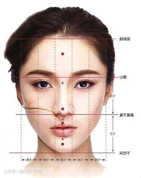 中庭在哪