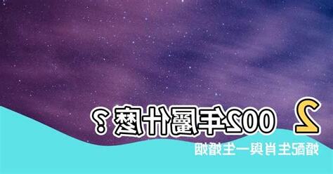 02年屬什麼