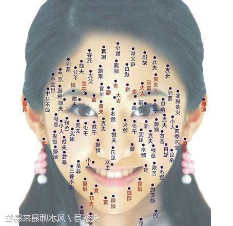 痣意思
